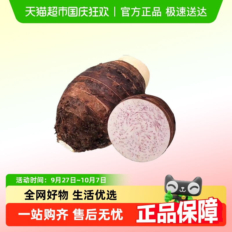 广西荔浦新鲜大芋头现挖毛芋头