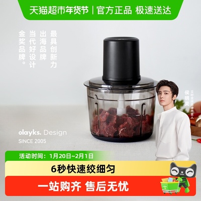 olayks小型家用绞肉机