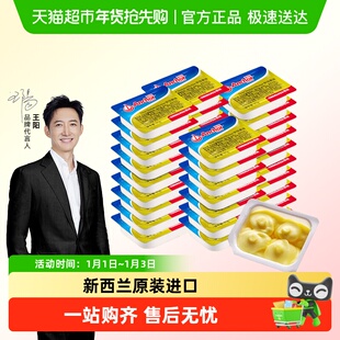 【详情享优惠】安佳动物黄油原味家用烘焙原料煎牛排小粒独立包装