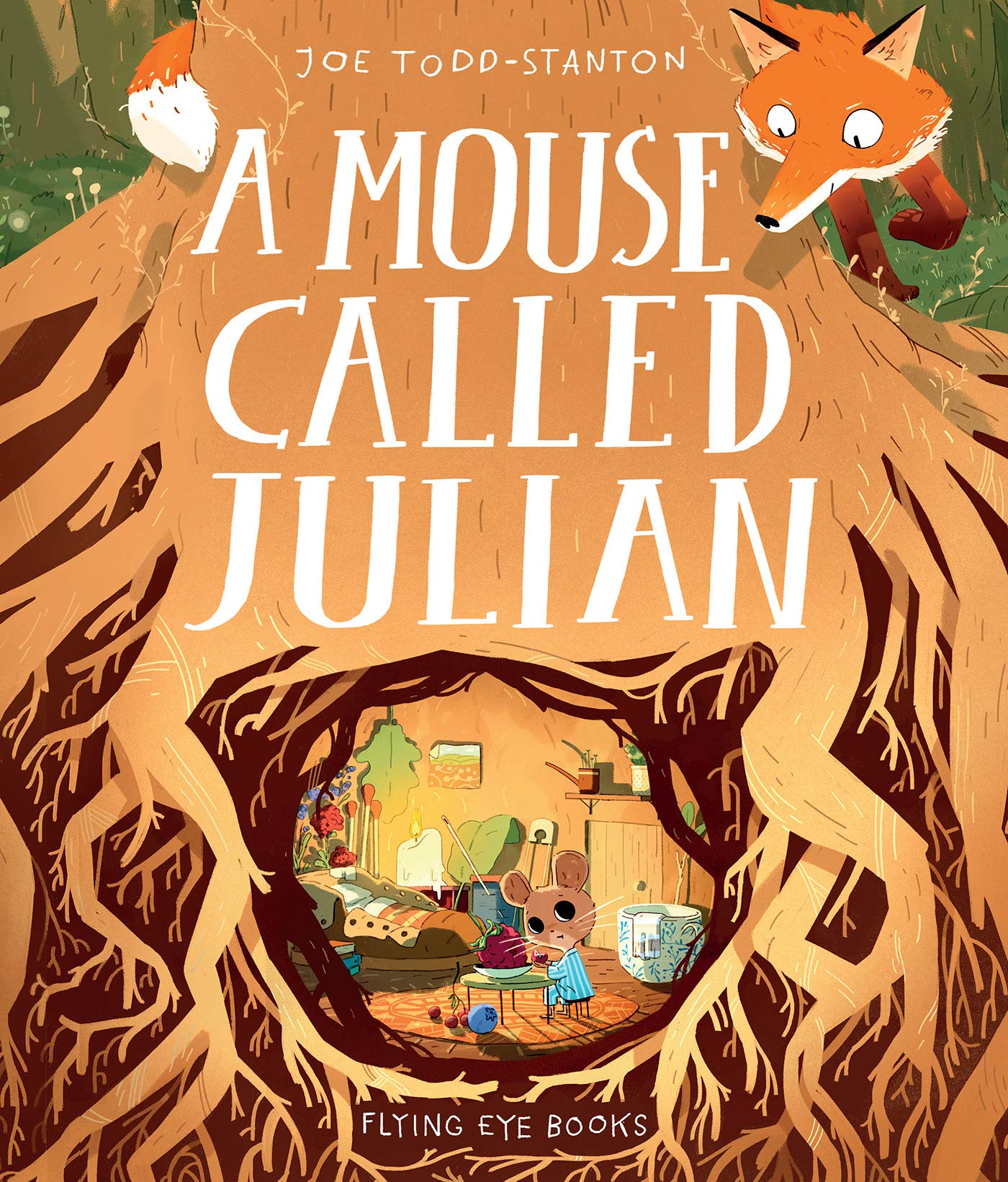 英文原版 小老鼠朱利安 Joe Todd-Stanton插画绘本 精装 A Mouse Called Julian 一只叫