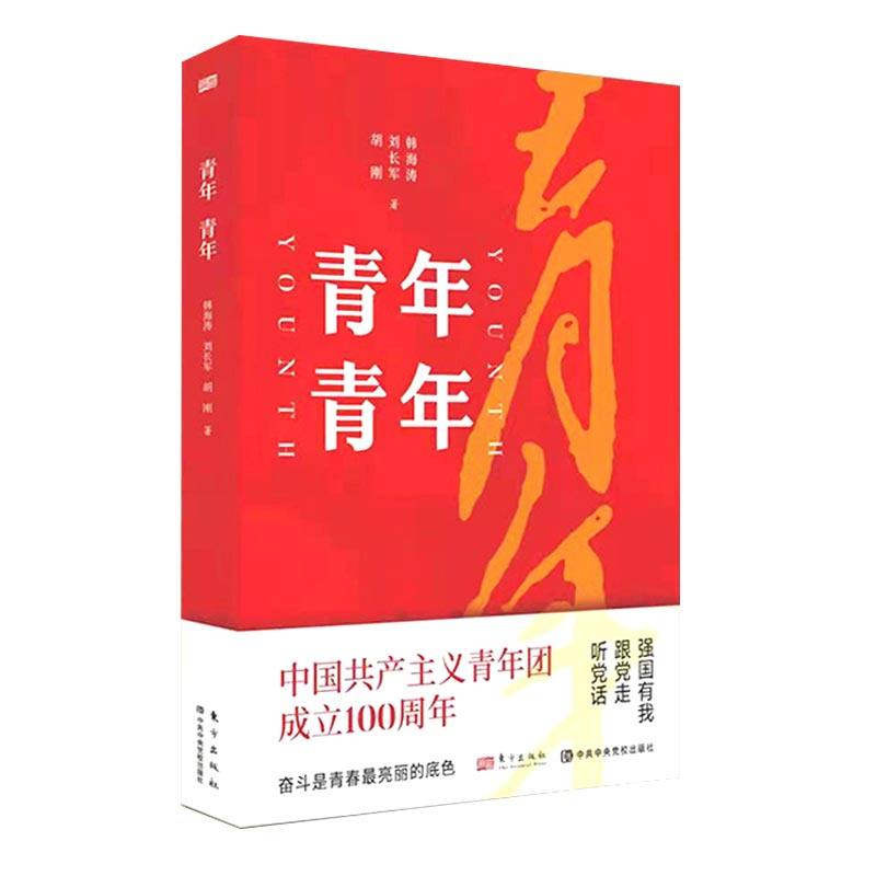 青年青年  韩海涛  刘长军  胡刚 著  新时代青年的