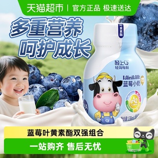 轻上DHA蓝莓小奶含钙铁锌儿童营养代餐优质奶源 专注儿童成长