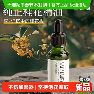 桂花香薰精油加湿器专用水溶性植物香氛扩香石家用卧室内持久香水