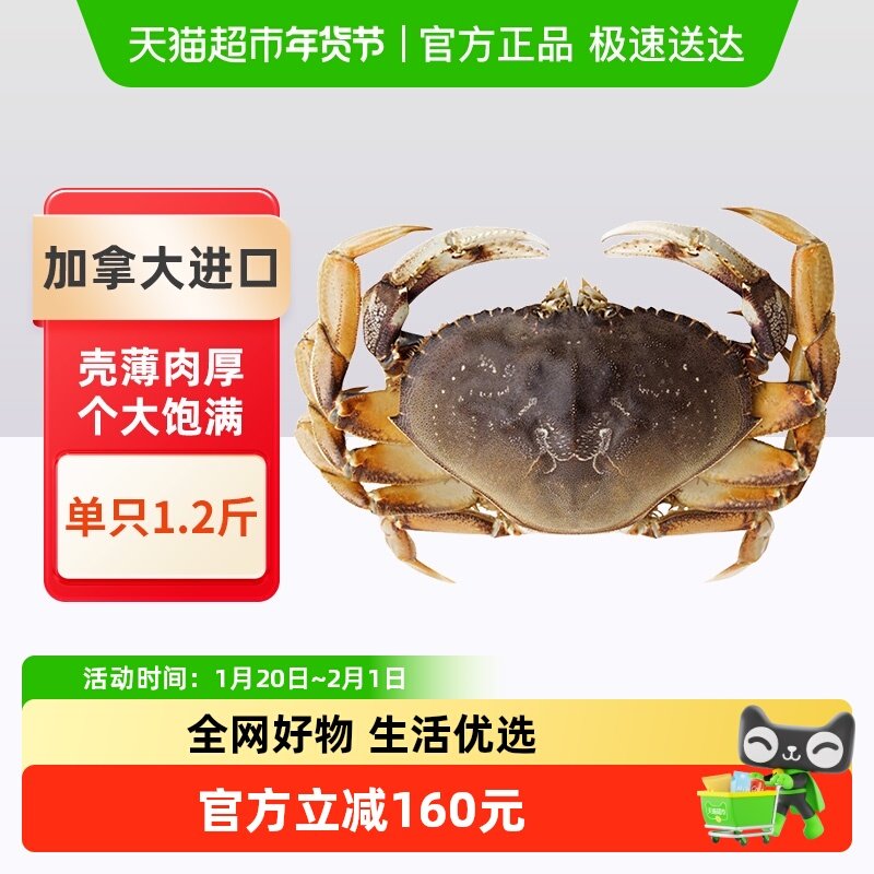【足斤足两】渔传播珍宝蟹太子蟹单只1.2斤加拿大进口包鲜不包活,水产肉类/新鲜蔬果/熟食,梭子蟹,淘宝优惠券,粉丝福利购,淘宝优惠卷