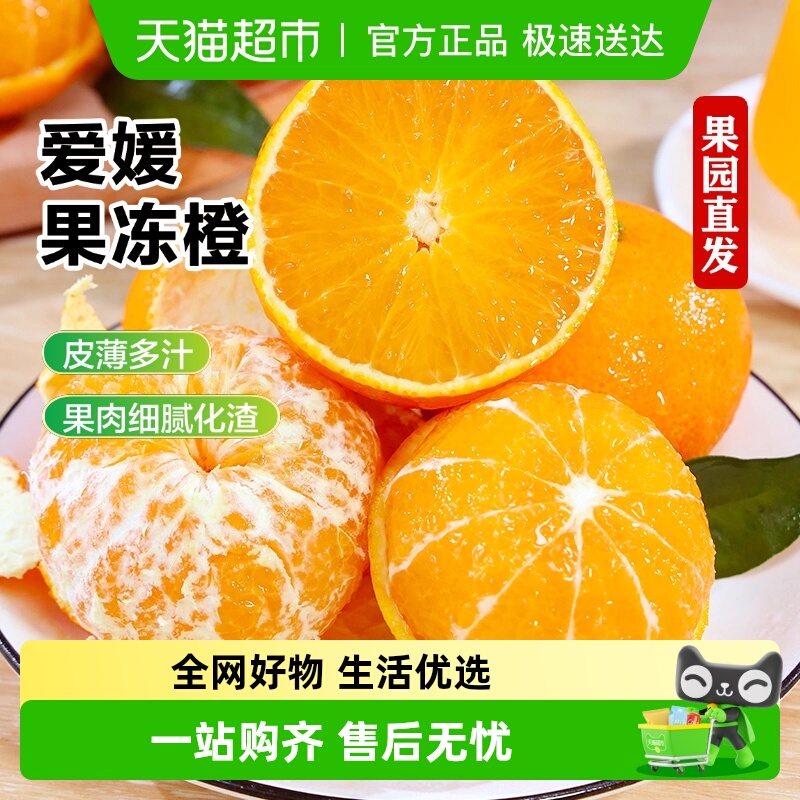 正宗四川爱媛果冻橙新鲜水果