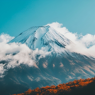 含机票 日本本州双古都7天半自助跟团游亲子游东京大阪岚山金阁寺