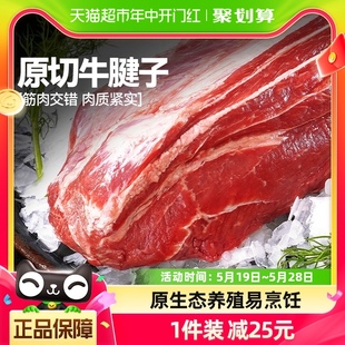 大希地牛腱子1kg生鲜牛肉牛腿肉健身代餐烧烤火锅食材