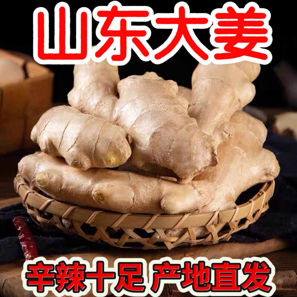 正宗山东生姜大姜老姜新鲜农家黄姜月子干姜大个姜块养生姜姜茶