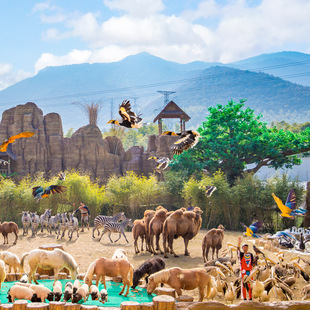 [太湖龙之梦动物世界-大门票]三天多次入园-官方直营