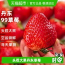 丹东99红颜奶油草莓大果新鲜水果应当季 现货九九牛奶整箱空运