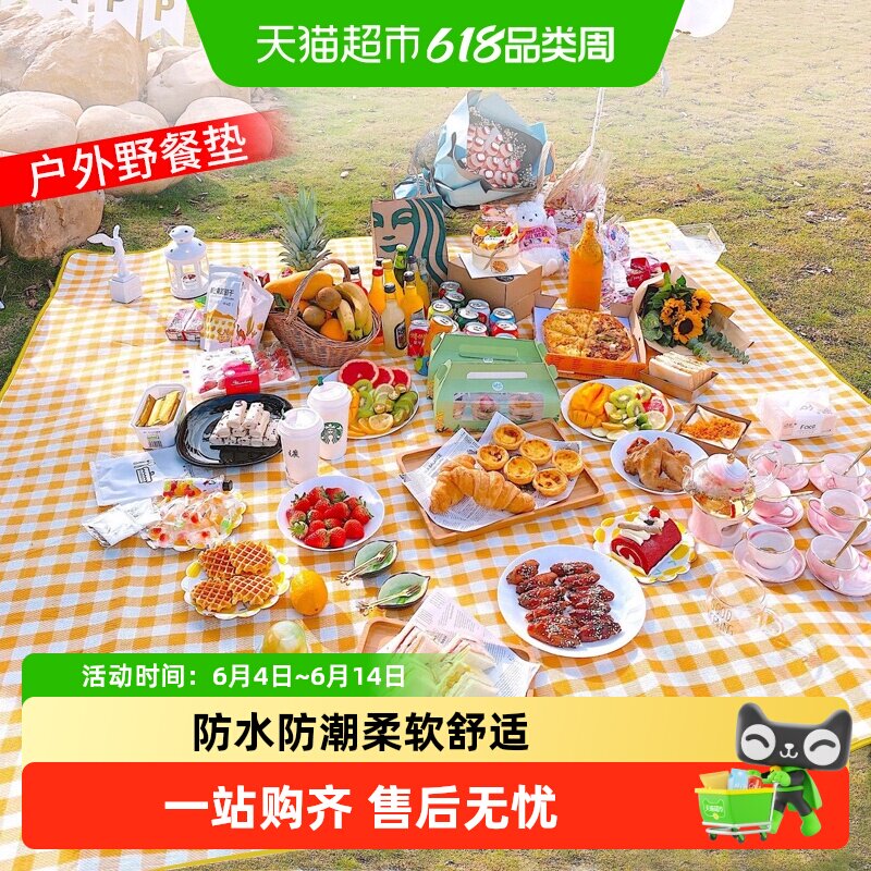 包邮野餐垫加厚防水防潮可手提便携秋游野炊郊游垫子露营地垫