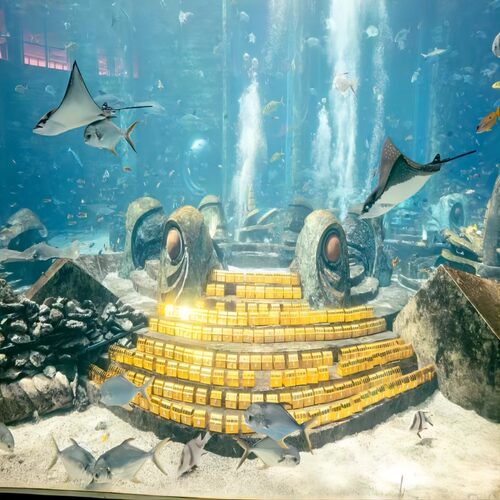 [亚特兰蒂斯失落的空间水族馆-大门票]【亚特兰蒂斯水族馆门票】