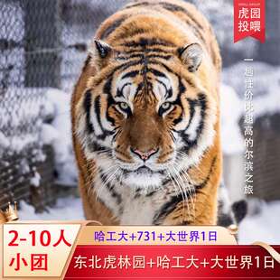 哈尔滨东北虎林园含投喂+哈工大航天馆+冰雪大世界+731遗址1日游