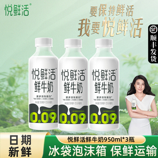 悦鲜活950ml鲜牛奶3瓶巴氏杀菌生牛乳大桶低温鲜牛奶旗舰店正品