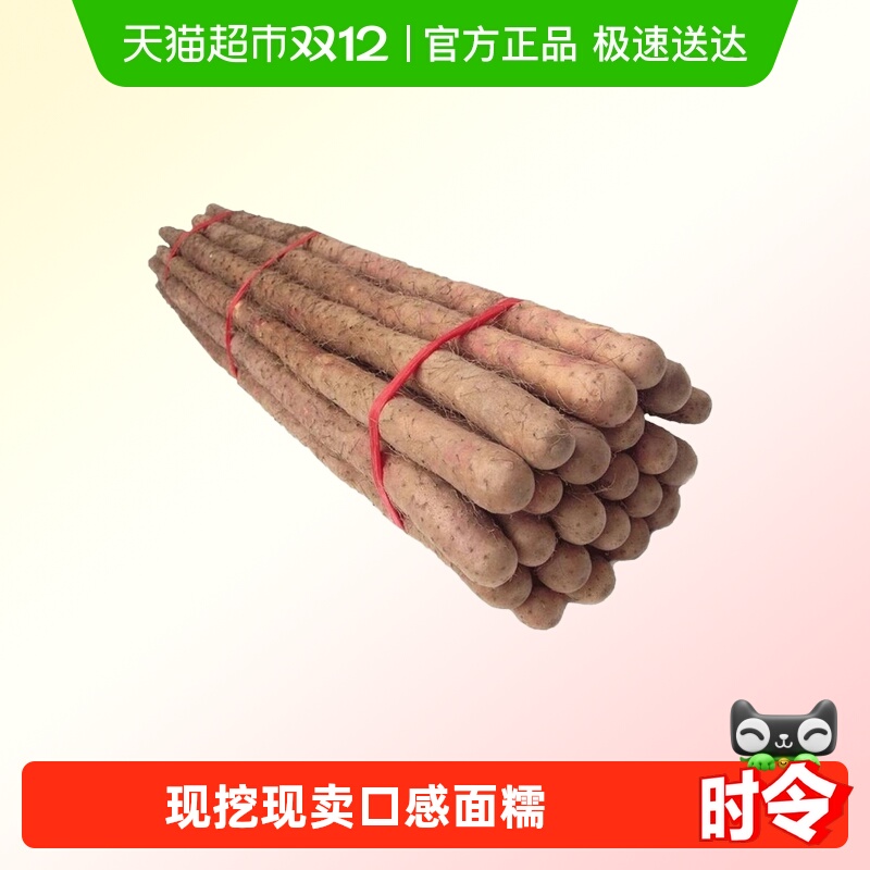 铁棍山药正宗垆土淮山现挖铁杆怀山当季蔬菜新鲜小白嘴山药面糯香