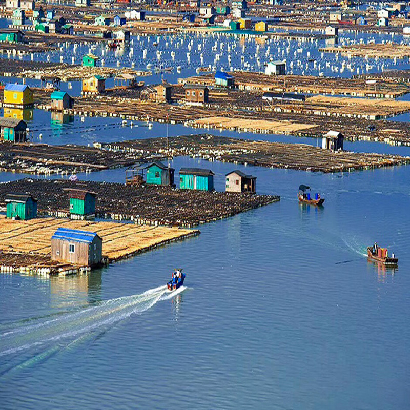 福建霞浦北岐 半月里 东安渔排1日游(2人成团 天天发团)