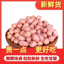 24年新鲜饱满白沙花生米大白沙新货白皮生花生米农家大粒花生仁