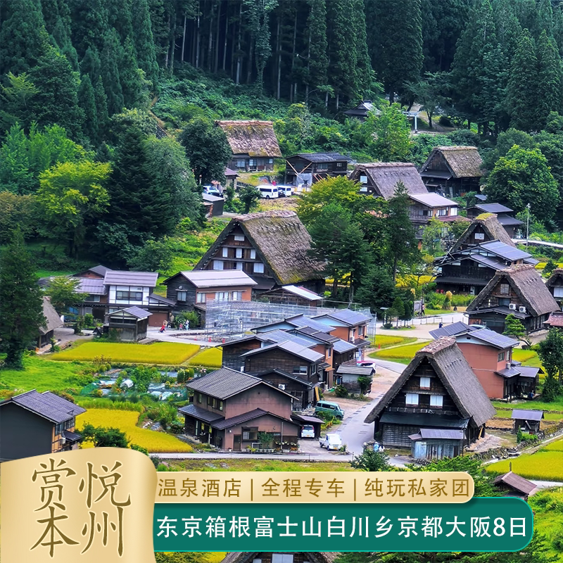 日本8日东京白川乡大阪