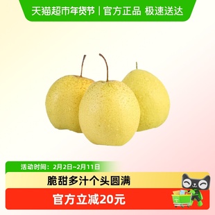 新疆天山雪梨香梨梨子脆甜多汁现摘黄梨黄金梨酥梨