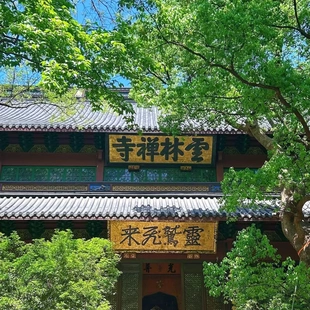 杭州旅游·灵隐寺飞来峰人工讲解【1小时私家团丨纯玩无推销】