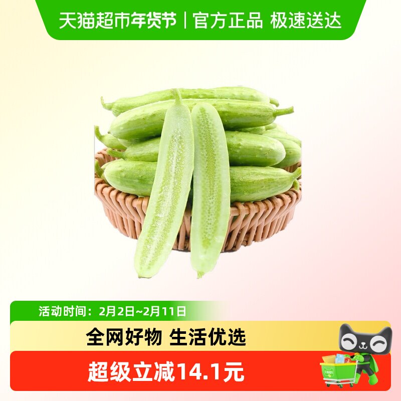 白玉黄瓜翠玉黄瓜蔬菜新鲜水果牛奶现摘即食生吃