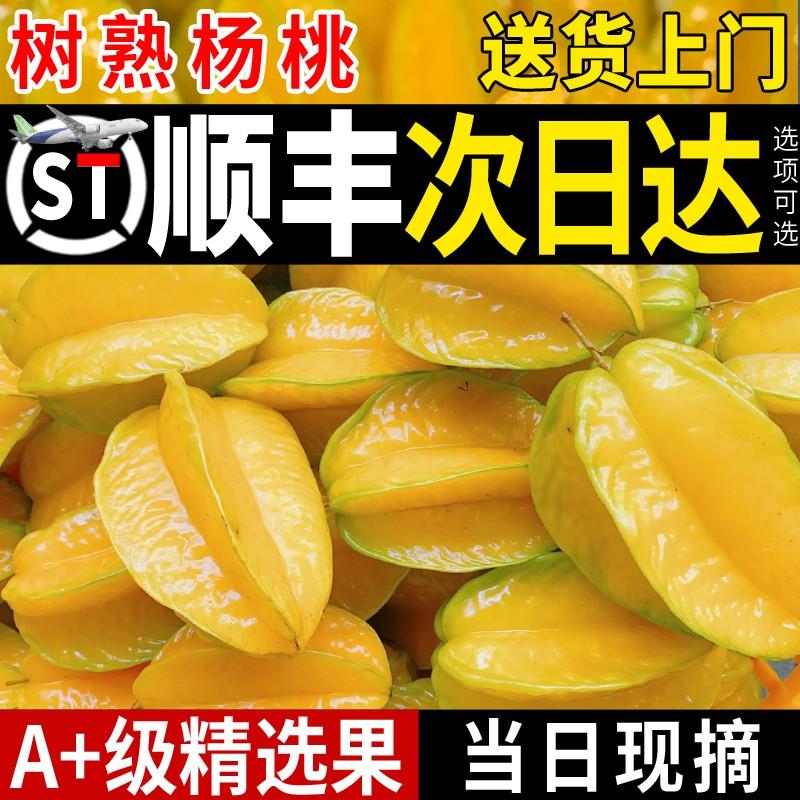顺丰包邮酸甜杨桃新鲜应当季水果现摘产地直发红龙五角星阳桃扬桃