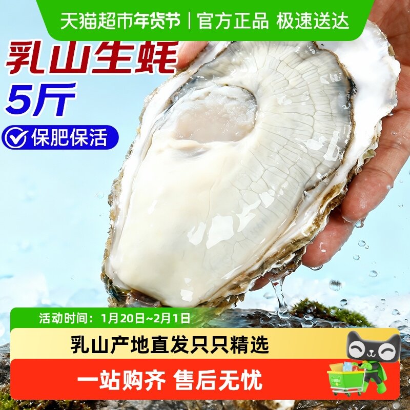 海仙部落乳山生蚝鲜活特大海蛎子新鲜牡蛎整箱海鲜,水产肉类/新鲜蔬果/熟食,生蚝,淘宝优惠券,粉丝福利购,淘宝优惠卷