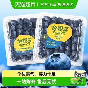 详情领优惠 云南蓝莓新鲜水果大果当季 怡颗莓Driscoll