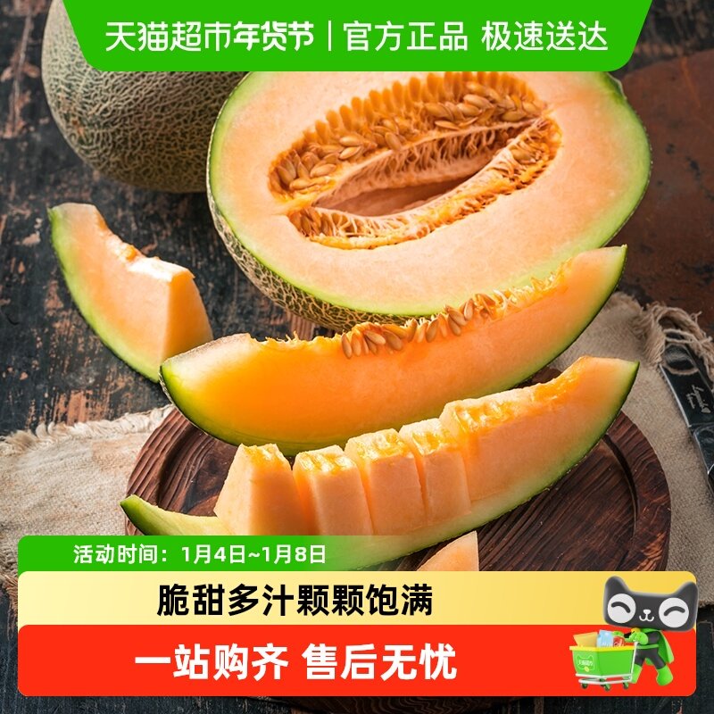 晓蜜哈密瓜香甜清脆多汁新鲜现摘应季水果