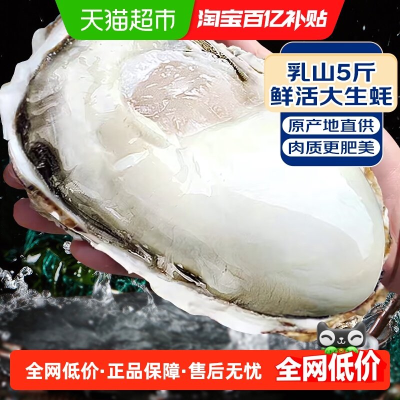 海仙部落乳山生蚝鲜活特大海蛎子刺身新鲜牡蛎整箱