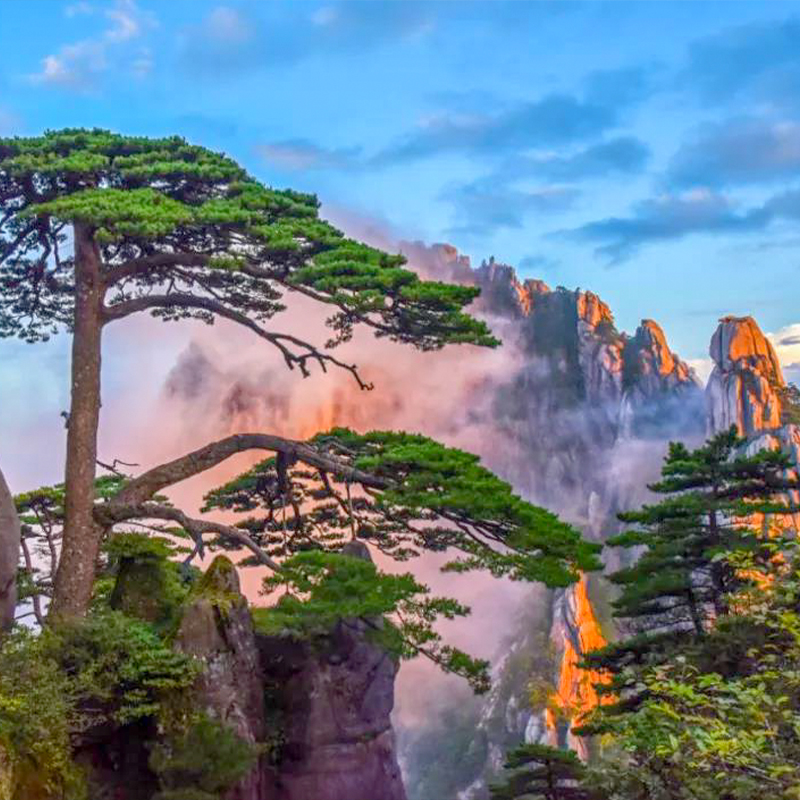 黄山宏村婺源篁岭新安江山水画廊徽州古城纯玩4日跟团游接送高铁