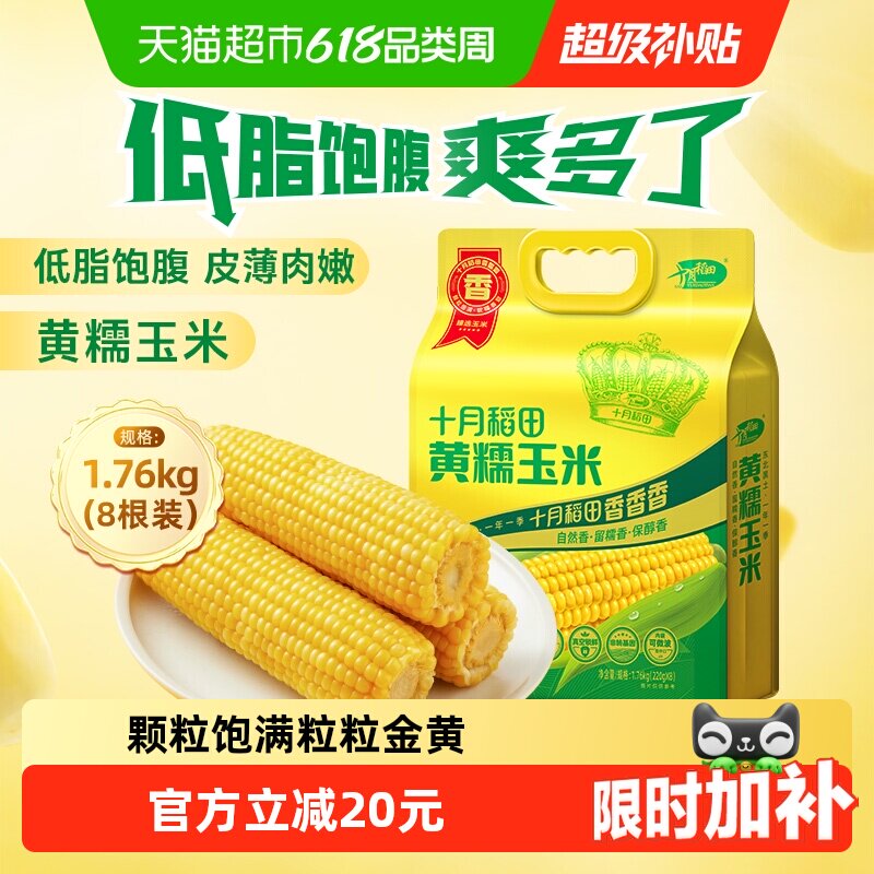 十月稻田黄糯玉米东北粘苞米杂粮粗粮低脂早餐可微波
