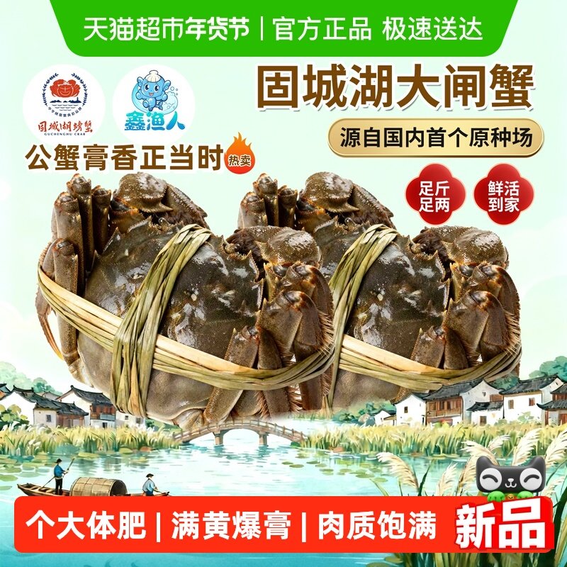 鑫渔人江苏南京固城湖大闸蟹螃蟹全母公蟹鲜活特大精品蟹送礼盒装,水产肉类/新鲜蔬果/熟食,大闸蟹,淘宝优惠券,粉丝福利购,淘宝优惠卷