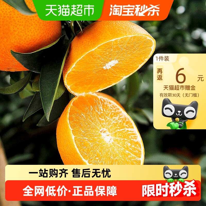 米乐果爱媛38号当季鲜果