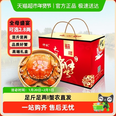 仲秋全母鲜活大闸蟹