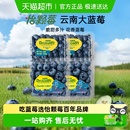 新鲜水果 DRISCOLLS怡颗莓云南蓝莓中大果当季 下拉详情领补贴