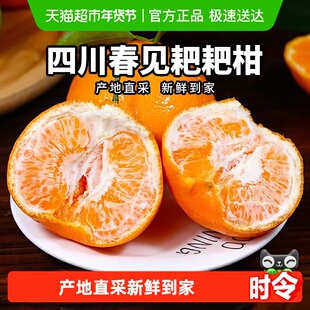 柠满园正宗四川眉山春见耙耙柑当季新鲜水果应季桔子粑粑柑橘子