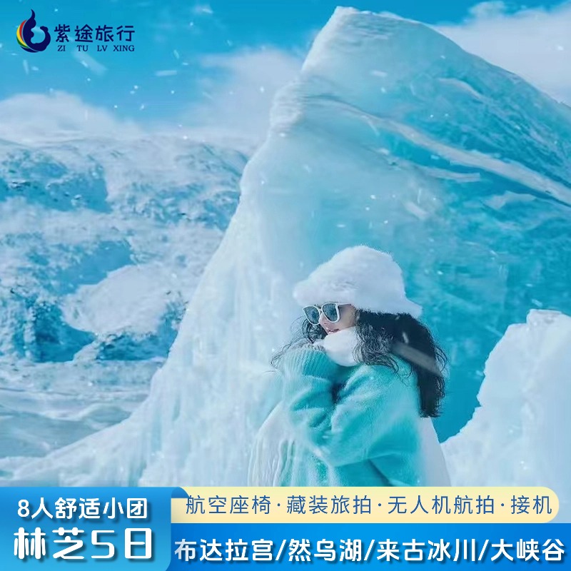【8人团+航空座椅】西藏林芝来古冰川波密然乌布达拉宫5天4晚
