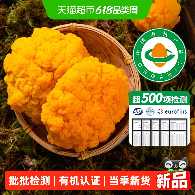 甄选有机新鲜金耳黄金脑耳木耳蘑菇大朵特产糯耳菌菇非干货刺身