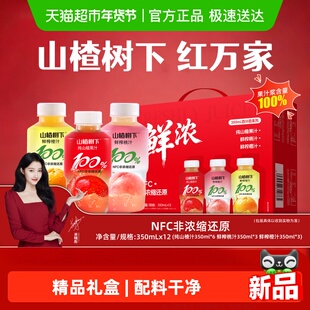 冠芳山楂树下饮料纯果汁系列山楂汁桃汁橙汁缤纷装礼盒装送礼
