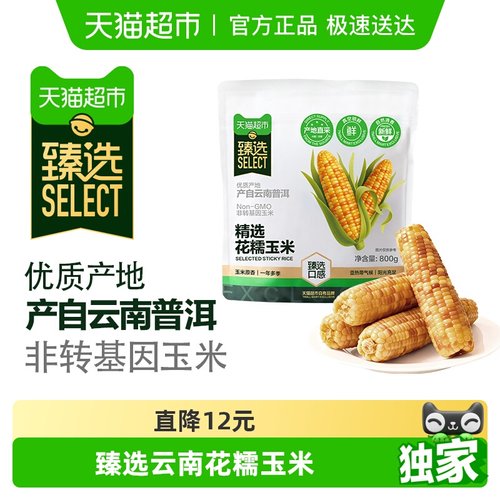 臻选花糯玉米云南新鲜现摘