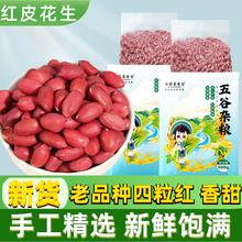 红皮花生米新货小包装云南农家新鲜现剥小粒生红衣花生仁五红汤料