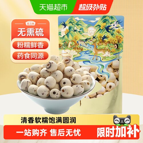 燕之坊白莲子新鲜去芯磨皮无芯