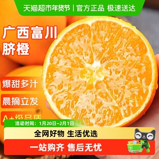 正宗广西富川脐橙应当季新鲜水果非秭归赣南奉节伦晚橙子