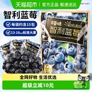 百草味阳光果派智利蓝莓干300g花青素水果干果脯蜜饯小吃休闲零食