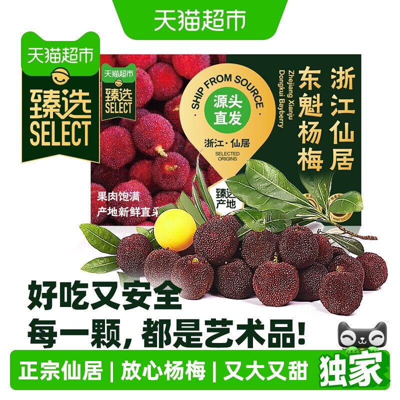 猫超臻选大果速发仙居东魁大杨梅杨梅皇颗粒装现摘现发新鲜水果