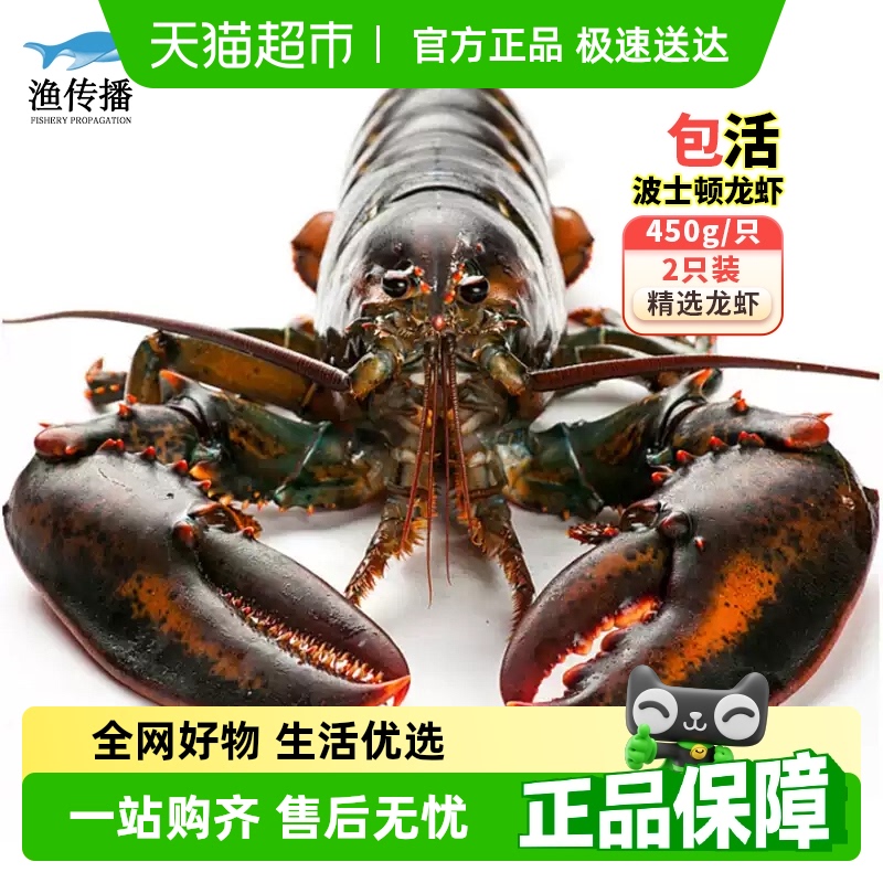 渔传播包活到家波士顿龙虾顺丰