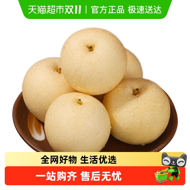 新鲜山西正宗御前3/5/8.5贡梨