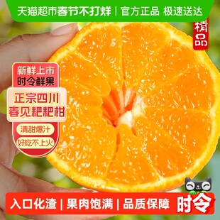 四川春见耙耙柑当季鲜柑橘清甜多汁新鲜采摘时令生鲜水果