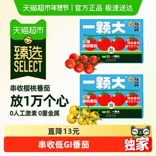 【臻选】一颗大臻选小串番茄精品礼盒装酸甜爆汁基地直发